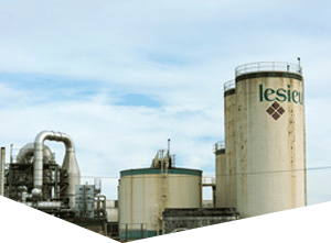 网页攻击器教程